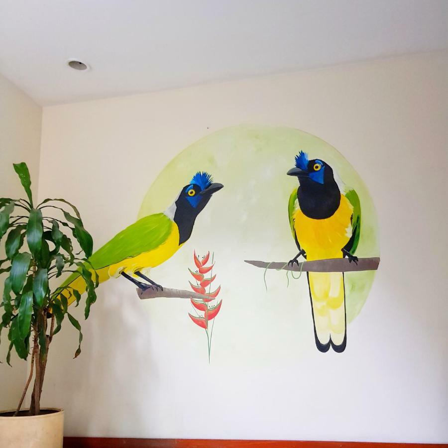 Roof Hostel Кали Экстерьер фото